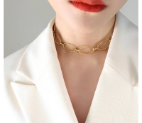 Roestvrijstalen chooker ketting