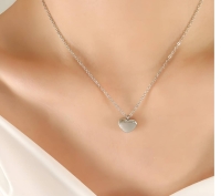 Roestvrijstalen ketting met hart zilver