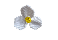 Oorbellen Sunny flower