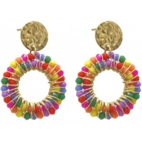 Statement oorbellen  Stainless Steel  multicolor