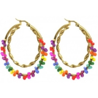 Statement oorbellen  Stainless Steel multicolor